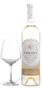 Cricova Sauvignon Lace Range Молдавское вино Совиньон Крикова серия Lace Range
