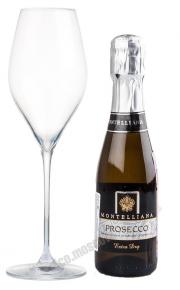 Игристое вино Montelliana Prosecco Treviso Монтеллиана Просекко Тревизо