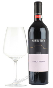 Serafini & Vidotto Pinot Nero итальянское вино Серафини э Видотто Пино Неро