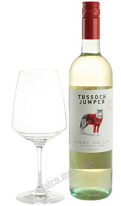 Tussock Jumper Pinot Grigio Итальянское Вино Тассок Джампер Пино Гриджо