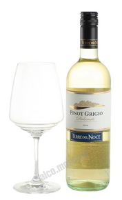 Mezzacorona Terre del Noce Pinot Grigio Итальянское вино Терре дель Ноче Пино Гриджио