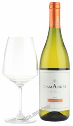 Diamandes Viognier 2012 Аргентинское вино Диамандес Вионье 2012