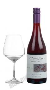 Cono Sur Bicicleta Pinot Noir чилийское вино Коно Сур Бисиклета Пино Нуар