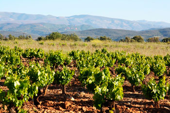 Bierzo (Берцо)