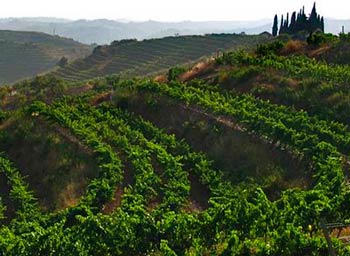 Priorat (Приорат)