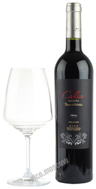 Callia Magna Shiraz 2012 аргентинское вино Калья Магна Шираз 2012