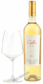 Callia Magna Chardonnay 2013 аргентинское вино Калья Магна Шардоне 2013