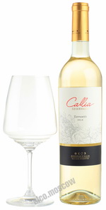 Callia Magna Reservado Torrontes 2014 аргентинское вино Калья Магна Ресервадо Торронтес 2014