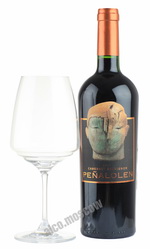 Penalolen Cabernet Sauvignon 2014 чилийское вино Пеньялолен Каберне Совиньон 2014