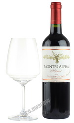 Montes Alpha Merlot 2010 чилийское вино Монтес Альфа Мерло 2010