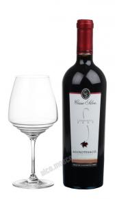 Microterroir Carmenere Чилийское Вино Микротерруар Карменер 2009г