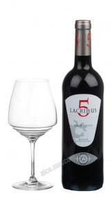 Lacrimus 5 Tempranillo Rodriguez Sanzo 2016 Испанское Вино Лакримус 5 Темпранильо Родригез Сансо 2016г