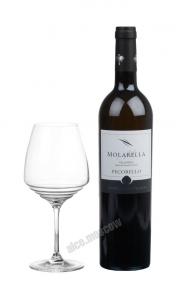 Molarella Val Di Neto Pecorello 2016 Итальянское вино Моларелла Валь ди Нето Принчипе 2016г