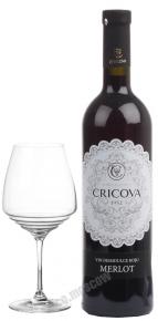 Cricova 1952 Merlot Lace Range Молдавское вино Мерло Крикова 1952 серия Lace Range