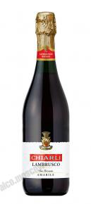 Lambrusco dell`Emilia Rosso шампанское Ламбруско дэль`Эмилия Россо