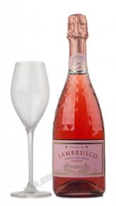 Binelli Lambrusco Rosato Dell Emilia Amabile Вино игристое Ламбруско Бинелли Премиум дель Эмилия