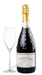 Binelli Lambrusco Rosso Dell Emilia Secco Вино игристое Ламбруско Бинелли Премиум дель Эмилия красное сухое 