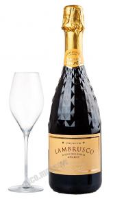 Binelli Lambrusco Rosso Dell Emilia Amabile Вино игристое Ламбруско Бинелли Премиум дель Эмилия 