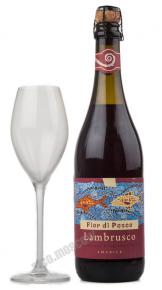 Fior Di Pesco Lambrusco Amabile Вино игристое Фьор ди Песко Ламбруско делль Эмилия 