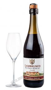 Fattoria Emilia Rosso Amabile Lambrusco dell Emilia IGT Вино игристое Ламбруско дель Эмилия Россо Амабиле 