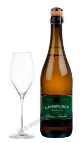 Palestro Lambrusco Emilia IGT Bianco Amabile Ламбруско Эмилия Палестро 