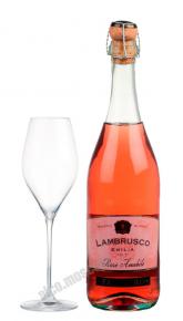 Palestro Lambrusco Emilia IGT Rose Amabile Ламбруско Эмилия Палестро