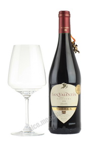 Torres San Valentin Garnacha испанское вино Торрес Сан Валентин Гарнача Красное Сухое