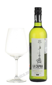 La Carpa Chenin blanc Южно-африканское вино Ла Карпа Шенин блан
