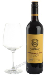 Inycon Organic Shiraz Итальянское Вино Иникон Органик Шираз