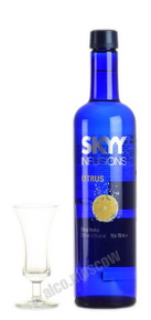 Skyy Citrus водка Скай Цитрус