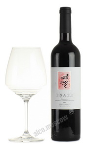 Enate Crianza 2009 Tempranillo-Cabernet Sauvignon испанское вино Энате Крианса 2009 Темпранильо-Каберне Совиньон 