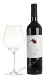 Enate Syrah-Shiraz 2010 испанское вино Энате Сира-Шираз 2010