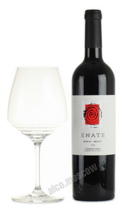 Enate Merlot-Merlot 2010 испанское вино Энате Мерло-Мерло 2010