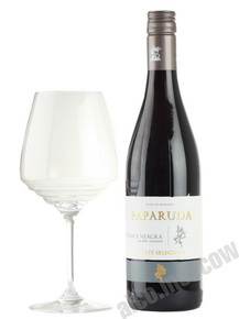Paparuda Feteasca Neagra Румынское вино Папаруда Фетяска Нягра 2013г