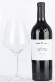 Mirafiore Barbera D`Alba Итальянское вино Мирафьоре Барбера д Альба