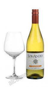 Sol de Andes Chardonnay Чилийское вино Сол де Андес Шардонне